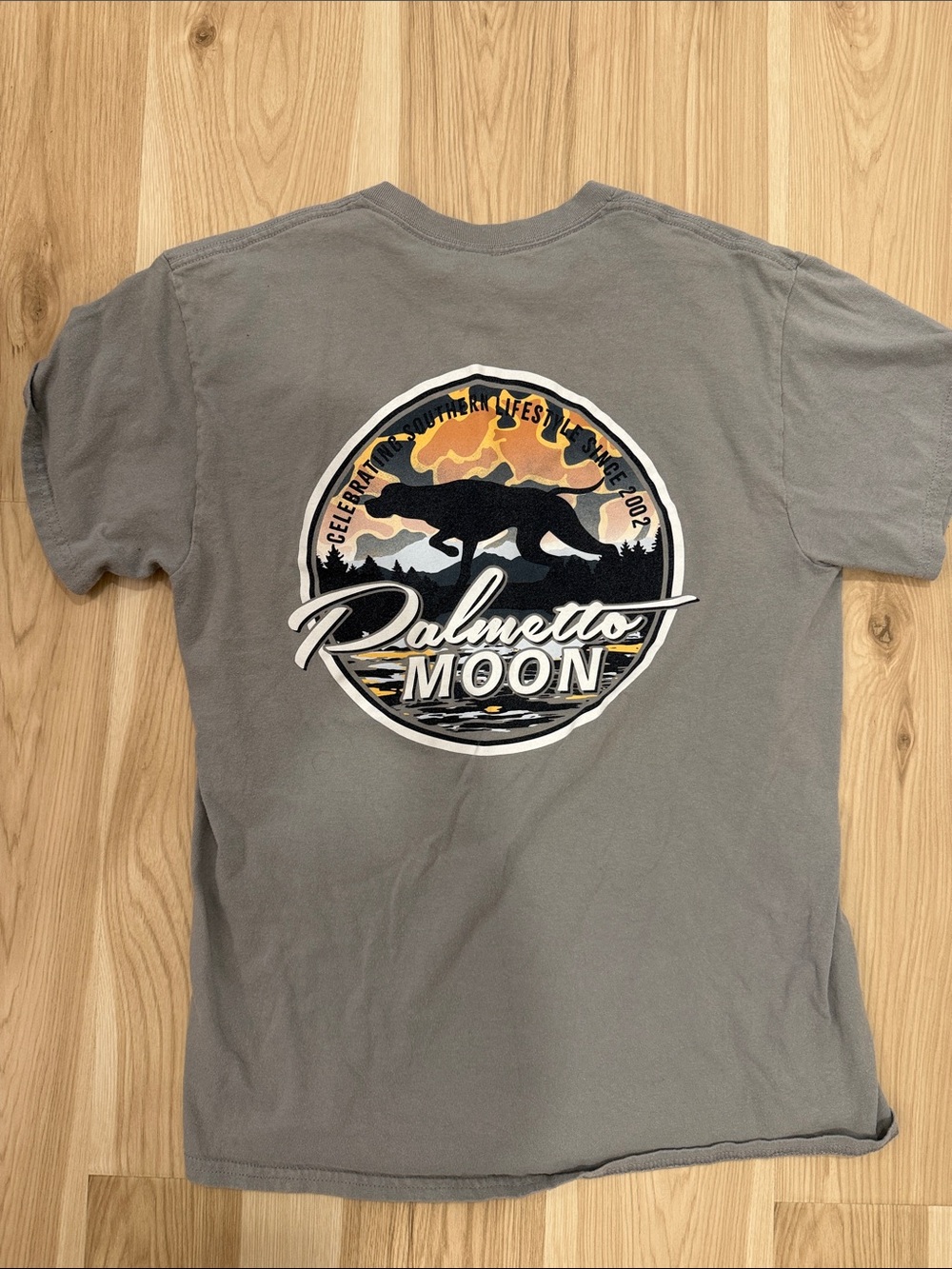 Palmetto Moon Men's Short Sleeve Graphic Tee in Gray medium